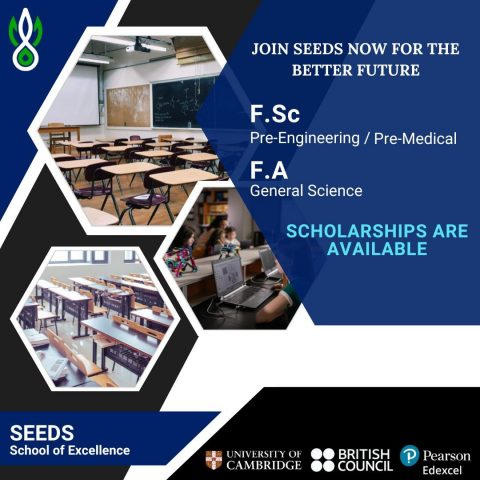 JOIN SEEDS NOW FOR A BETTER FUTURE”